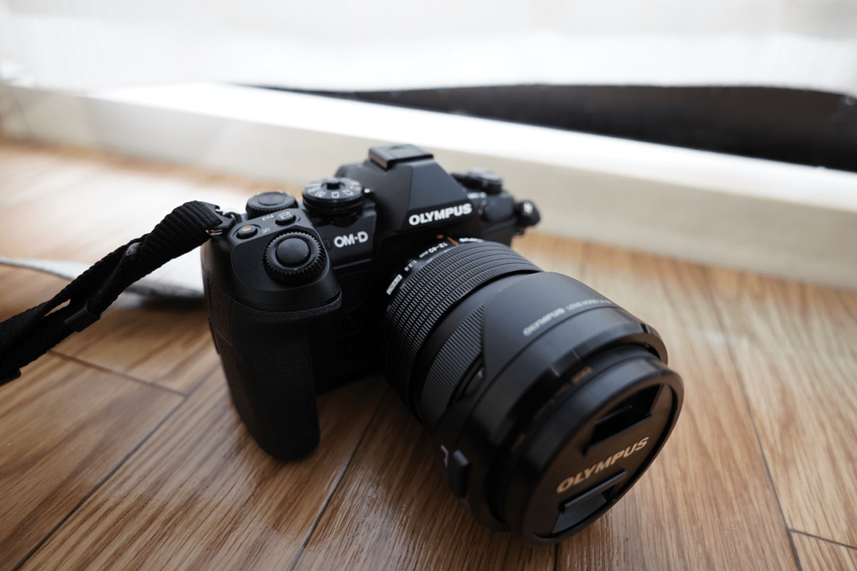 マイクロフォーサーズ 150mmF2.8とMACRO 10-20mm他SIGMA 2025年