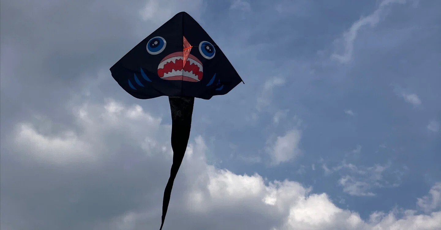 中国で凧揚げして得た人生訓｜lunzi
