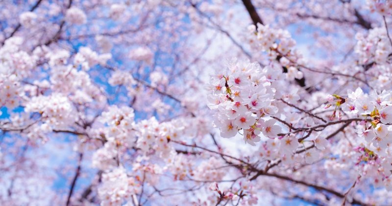 苦労した人ではなく 努力した人が幸せになる み note