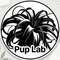 Pupラボ