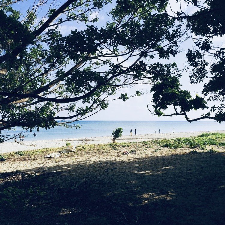 大好きな場所。けれど磁場が強いのか、あまり長居は出来ない浜。長く居ると頭痛がしてくるのです。