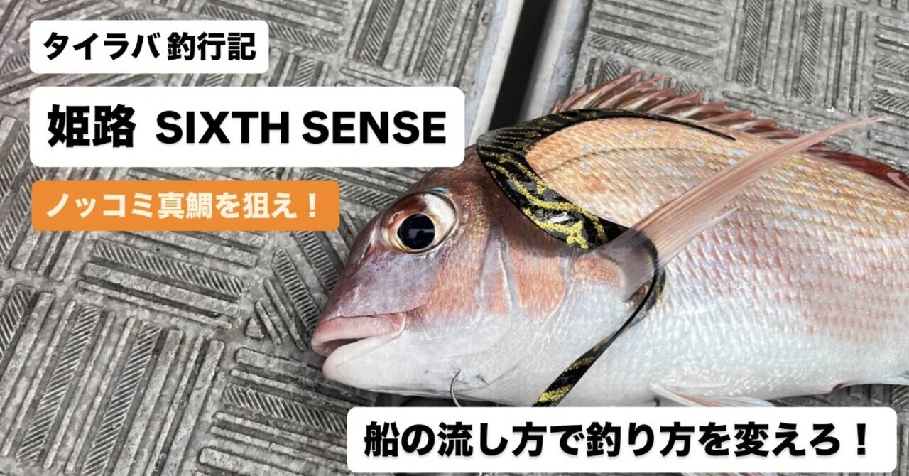 船の流し方に対応せよ！ 瀬戸内タイラバ 釣行記(2026/04/26 姫路 SIXTH