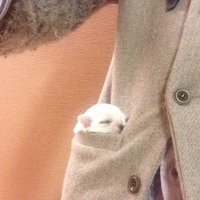 風が強く吹いている オリジナルサウンドトラック解説 林 ゆうき Note