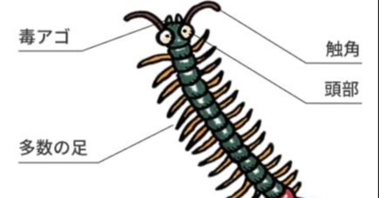 ムカデの実験結果 零land Note