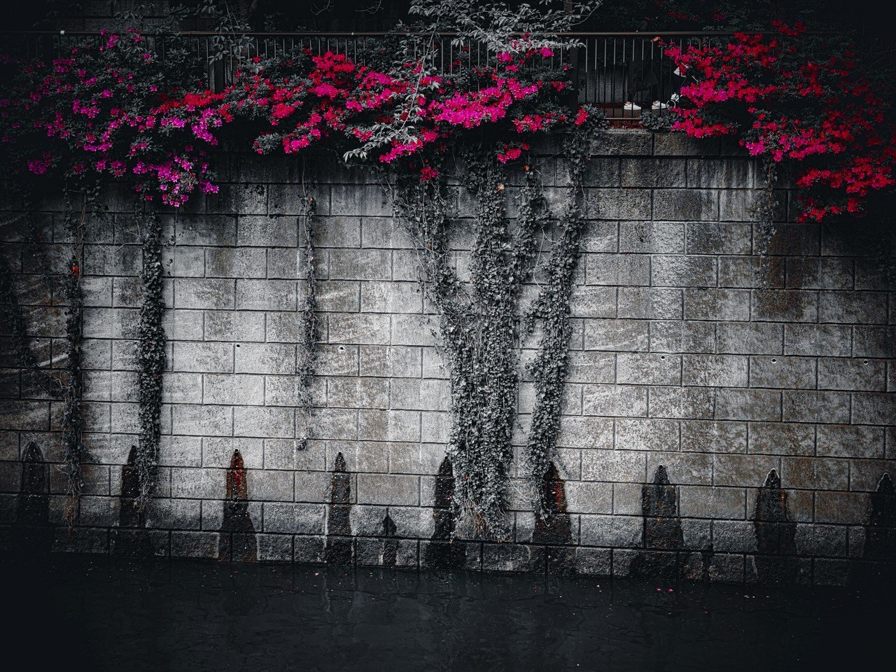 カメラ女子必見 ライカの入門機 Leica D Lux7 作例レビューその 東京 目黒 旅するフォトグラファー スナップガール Note