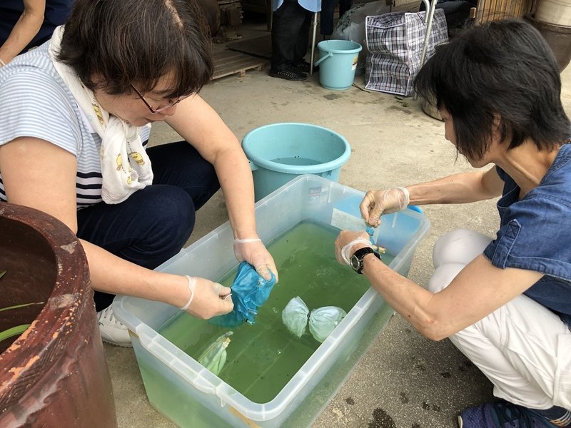 夏の生藍葉で染める！染め＆機織りで楽しむ知多木綿ツアー～昔ながらの機織り体験と染色、木綿産業で栄えたレトロな街歩きまで～11