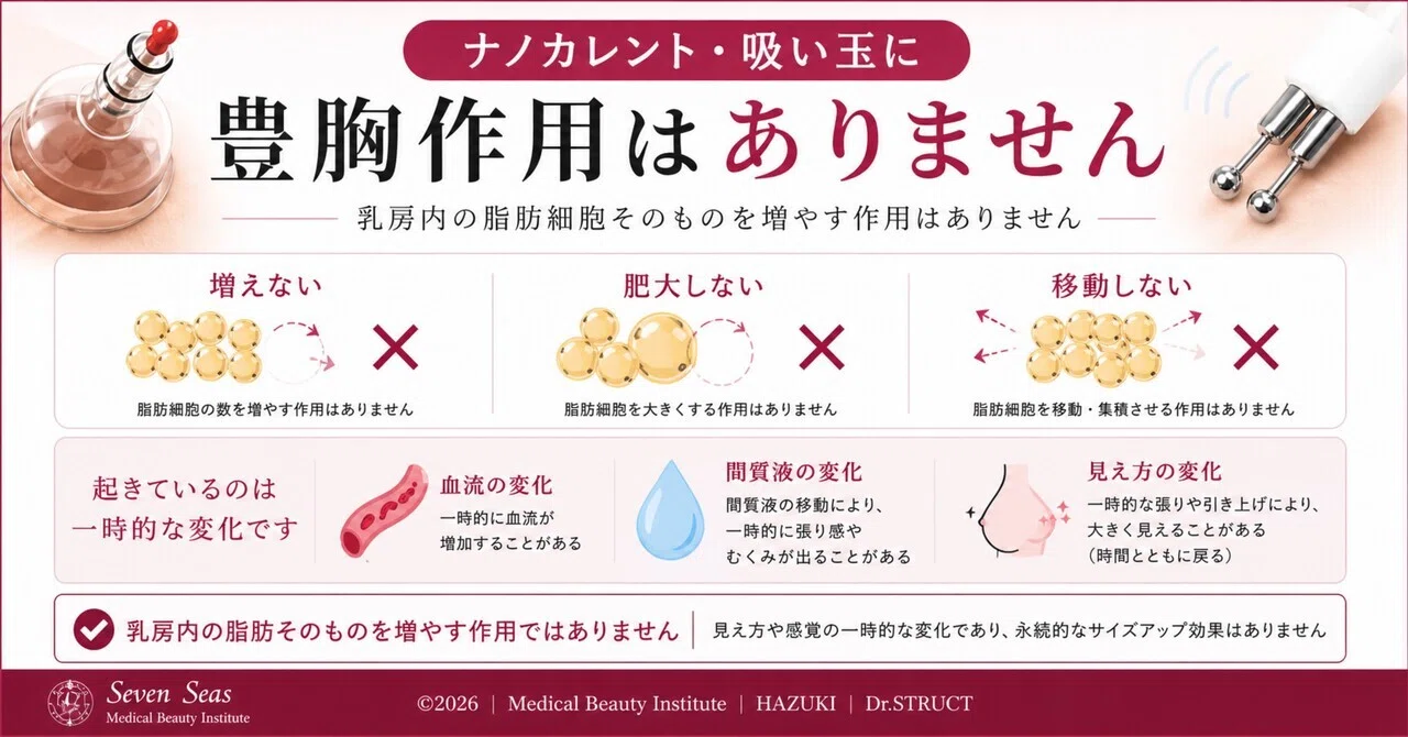 ナノカレント機械専用バストアタッチメント ナノカレント機械専用バストアタッチメント 【公式通販】