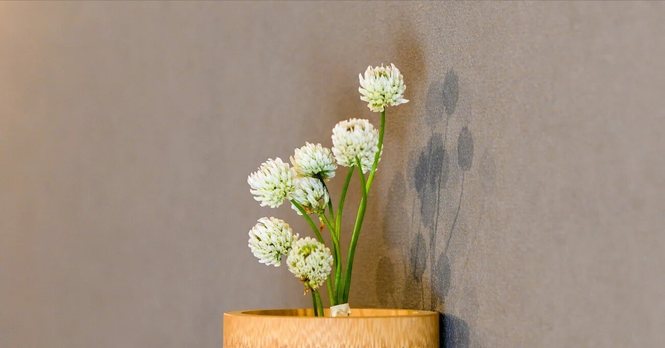 一輪挿し - 2026-05｜Garden archive｜note