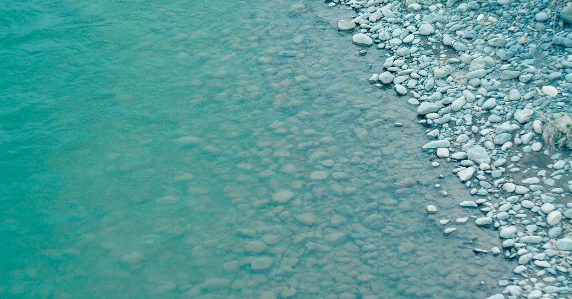 フィルムが永遠にむずかしい。｜y