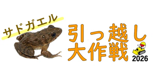 授業紹介｜新潟県立羽茂高等学校