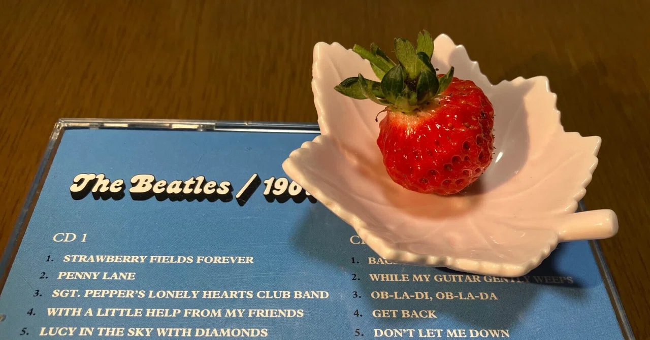 Strawberry Fields Forever 歌詞和訳｜山本 剛