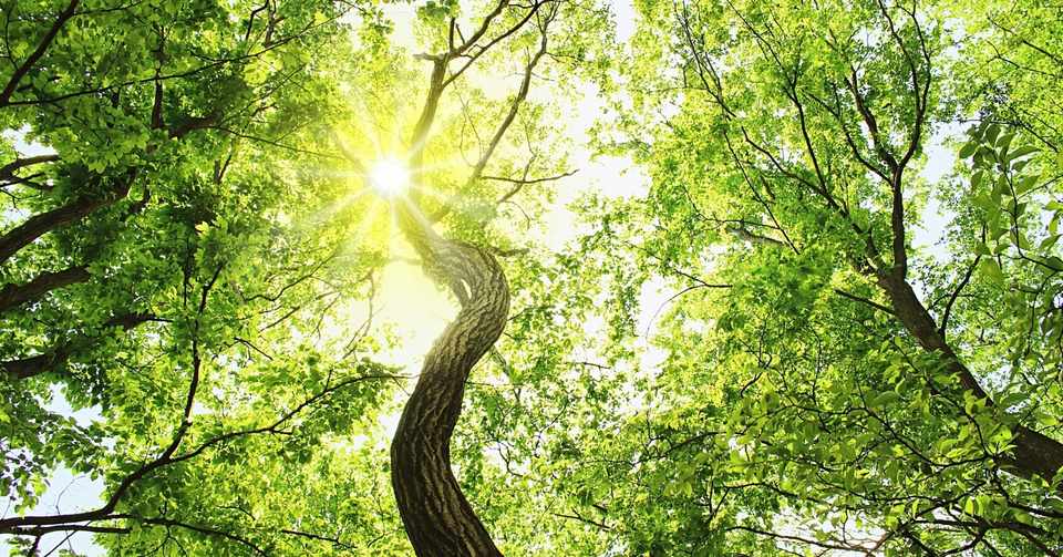 覚醒する方法 覚醒研究所 Note