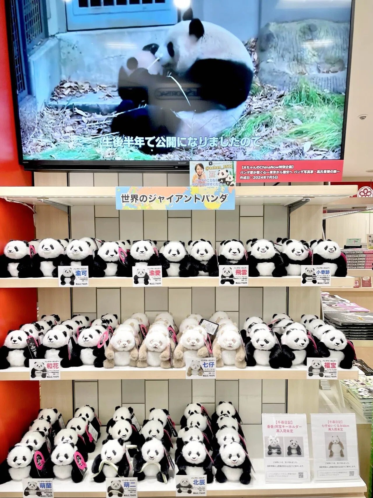千尋日記のパンダのぬいぐるみ、上野案内所で発売！｜上野案内所