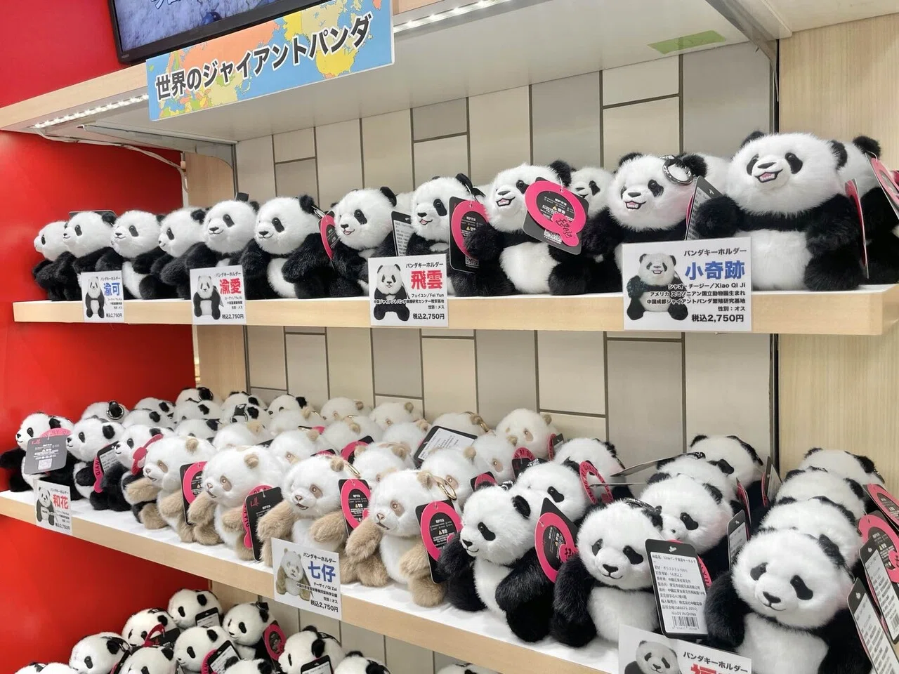 シャンシャン　ぬいぐるみ　80日齢 上野案内所　令和記念　限定　パンダ 上野案内所 開業2周年記念 11月1日（金）より、新作オリジナルグッズ