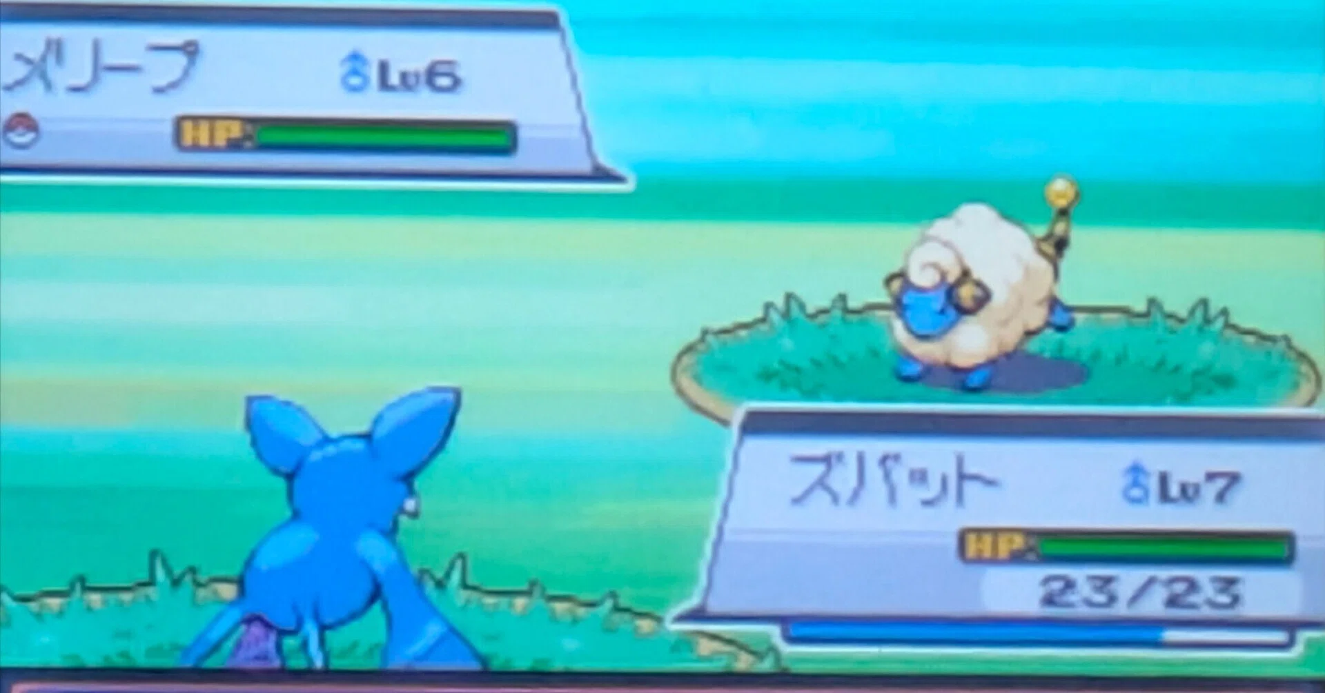 うっかりやの聖地と化した32ばんどうろ『ポケットモンスター ハート