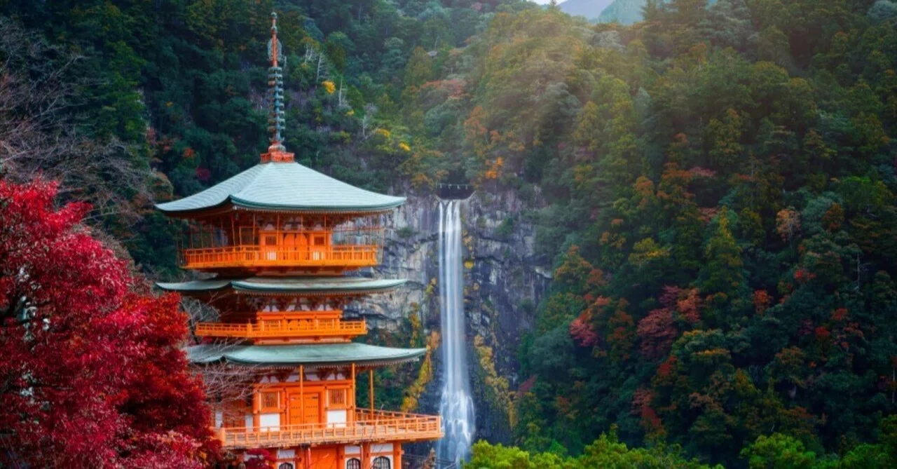 天然木製 根来塗 隅丸長手盆 1970年 手付運び盆｜ねこのま