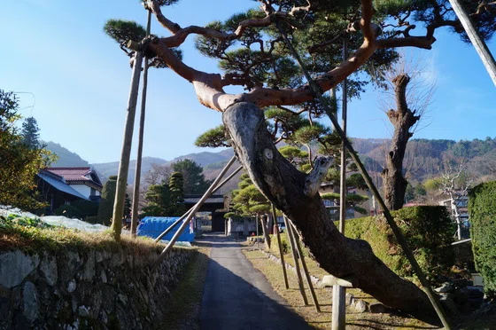 画像1
