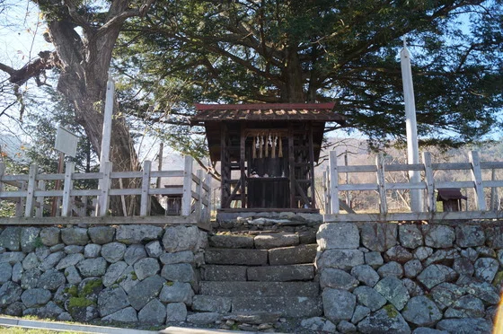 画像5