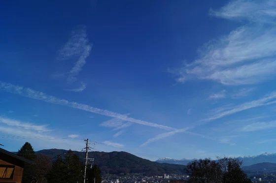 画像7