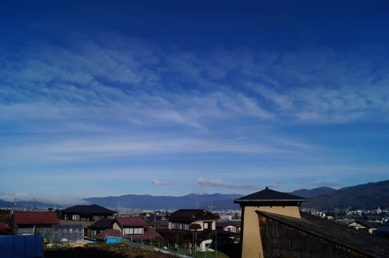 画像8
