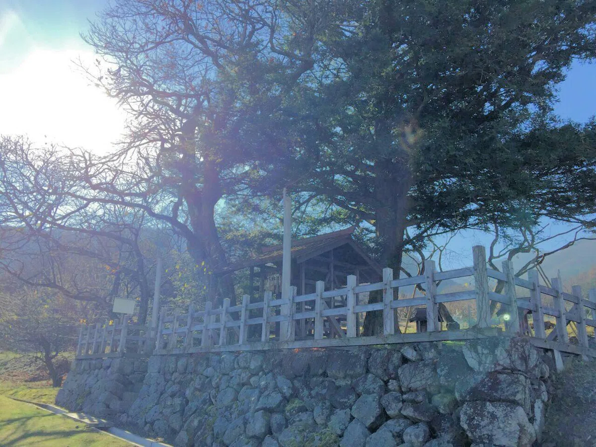 画像2
