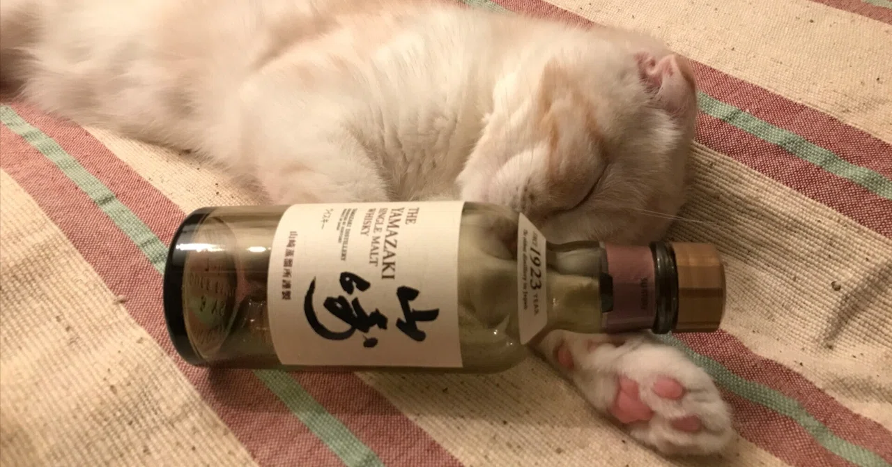 禁酒のススメ｜禅と尺八