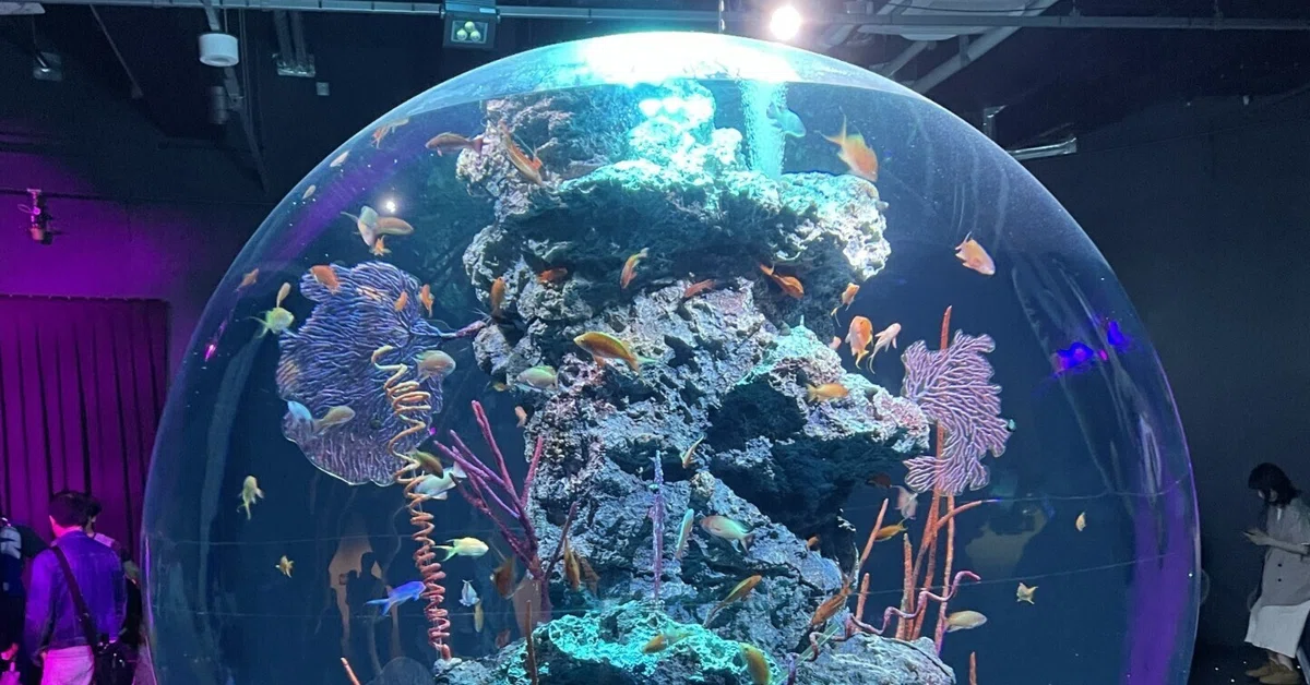 [Kobe/Shinko Pier] A Fantasy World of Aquarium x Art! A Report on the ...