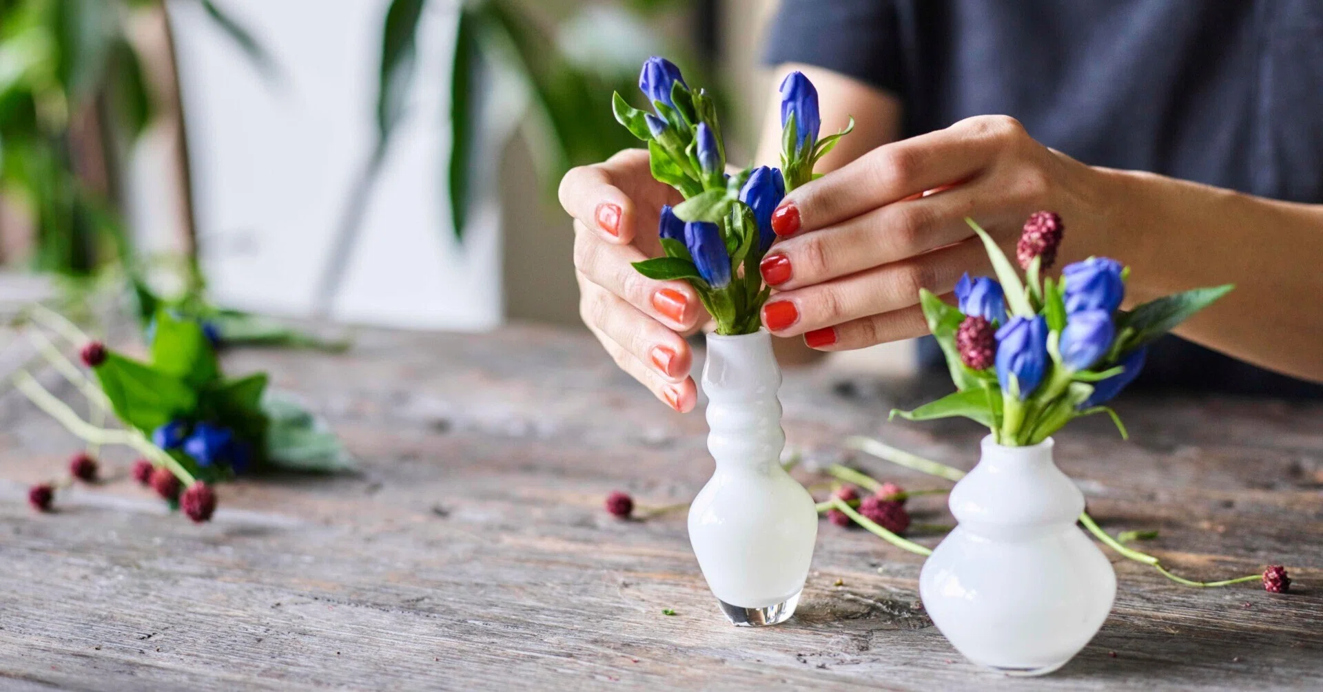Minimalist Flower Arranging: How to Display Gentians and Great