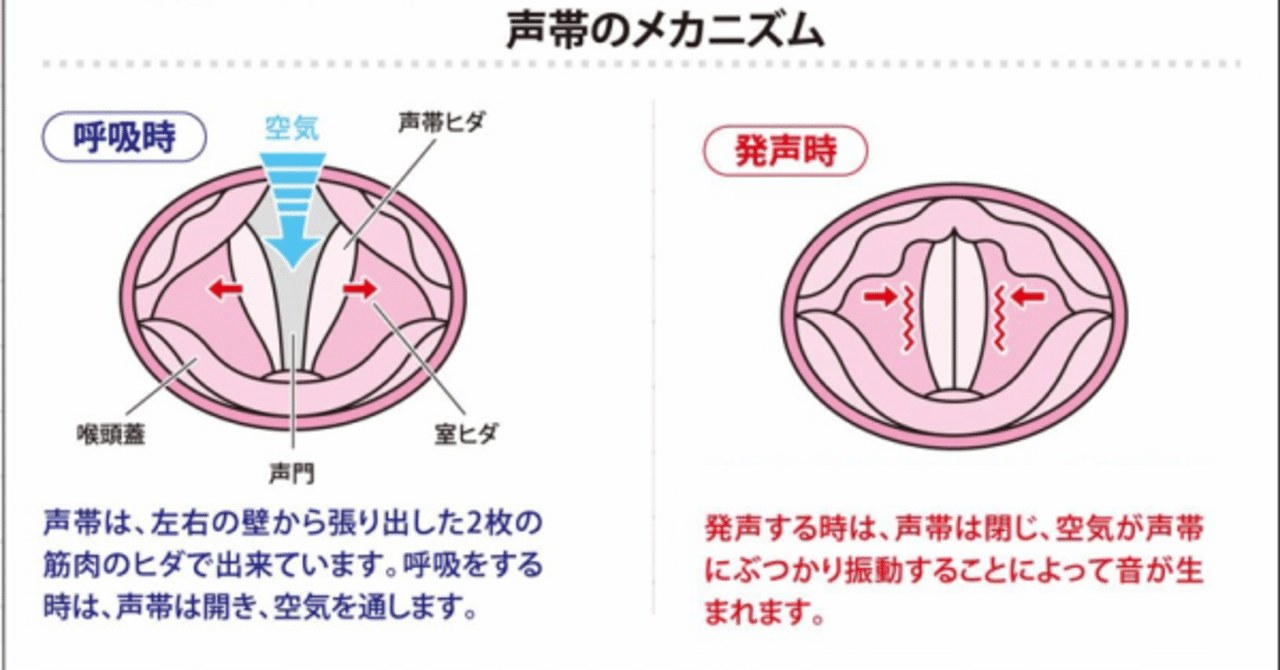 ハスキー ボイス 出し 方