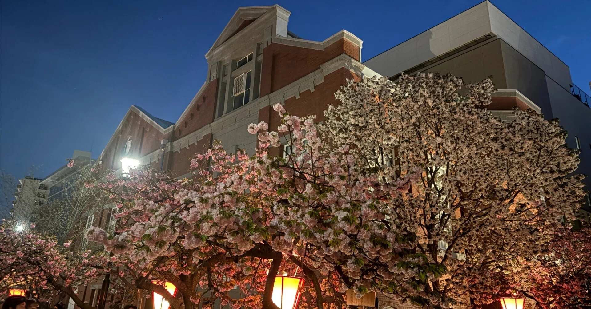 平成22年　桜の通り抜け記念　造幣局 04-49 大阪 桜の通り抜け 1995/平成7年 - 寺島コイン☆オンラインショップ