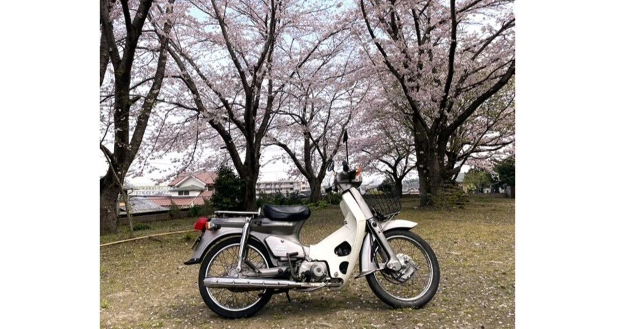 スーパーカブ90の除電チューニング その14｜Tristars-Tec. トライ