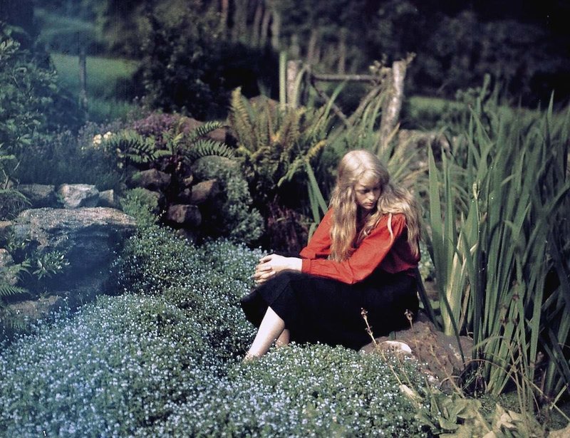 オートクローム Autochrome は最初のカラー写真だ Artoday Chiaki Note