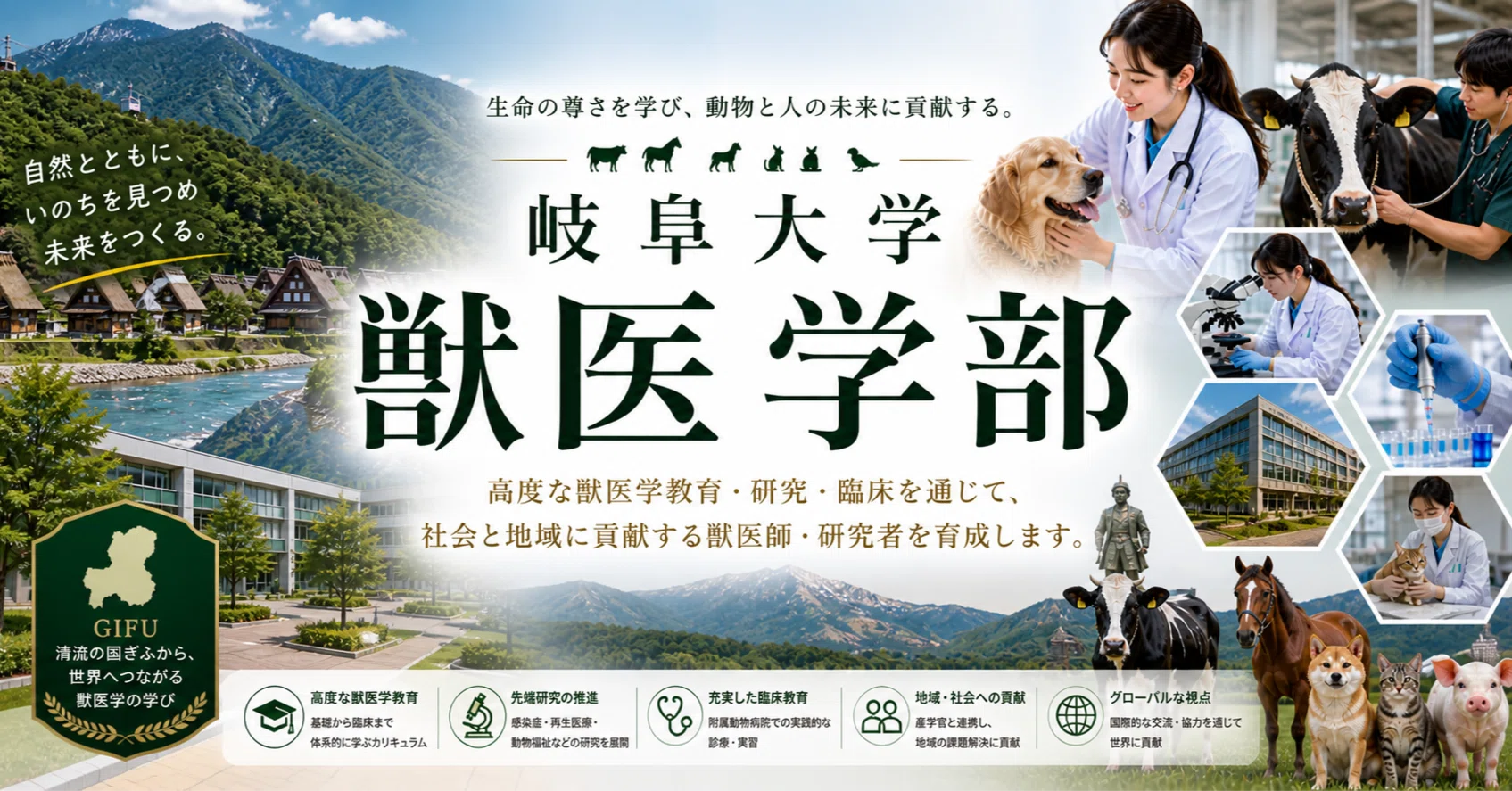岐阜大学 応用生物科学部 共同獣医学科 完全ガイド 獣医学部ニュース