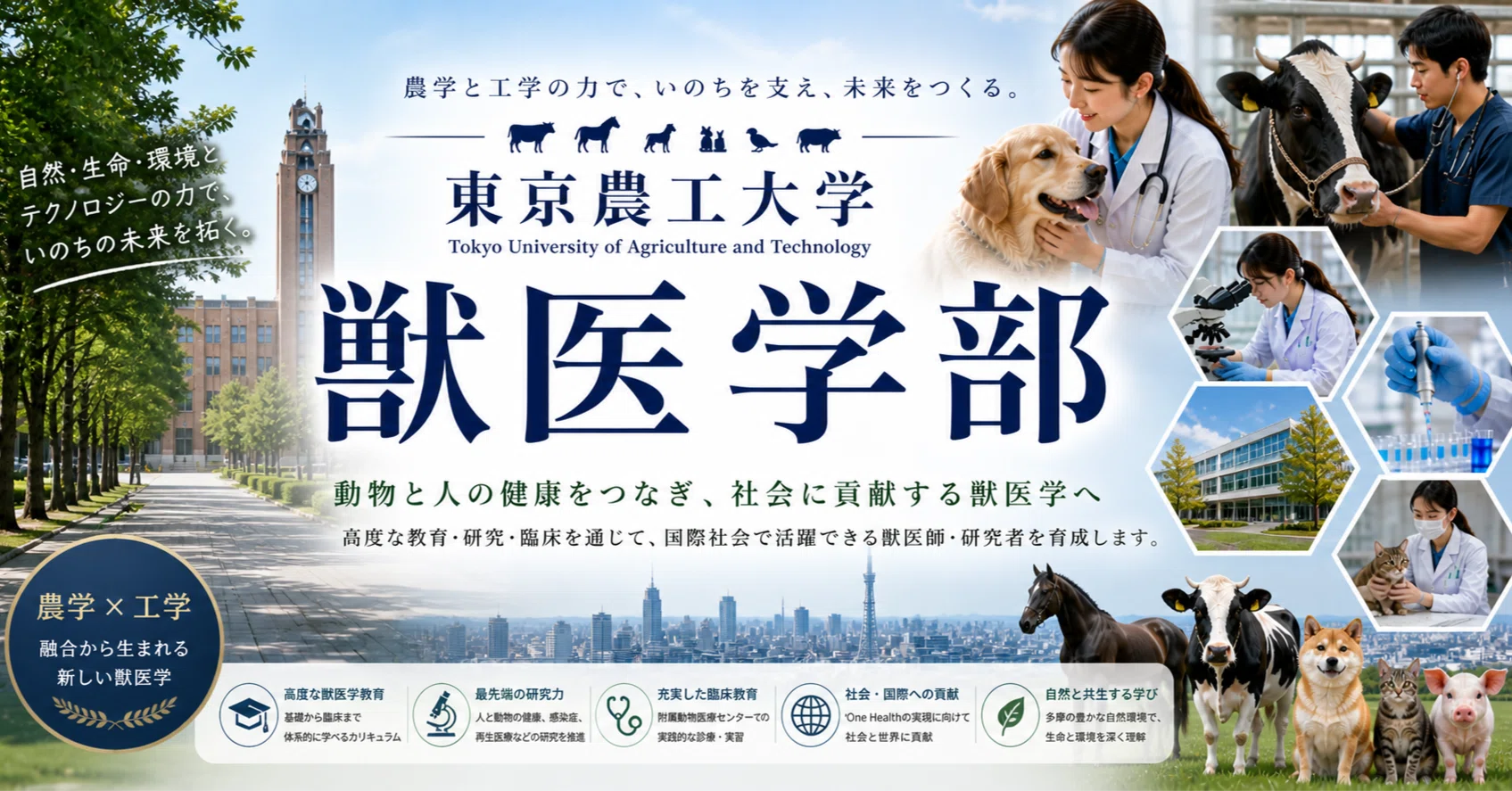 獣医学部ニュース：東京農工大学 農学部共同獣医学科 徹底解剖レポート