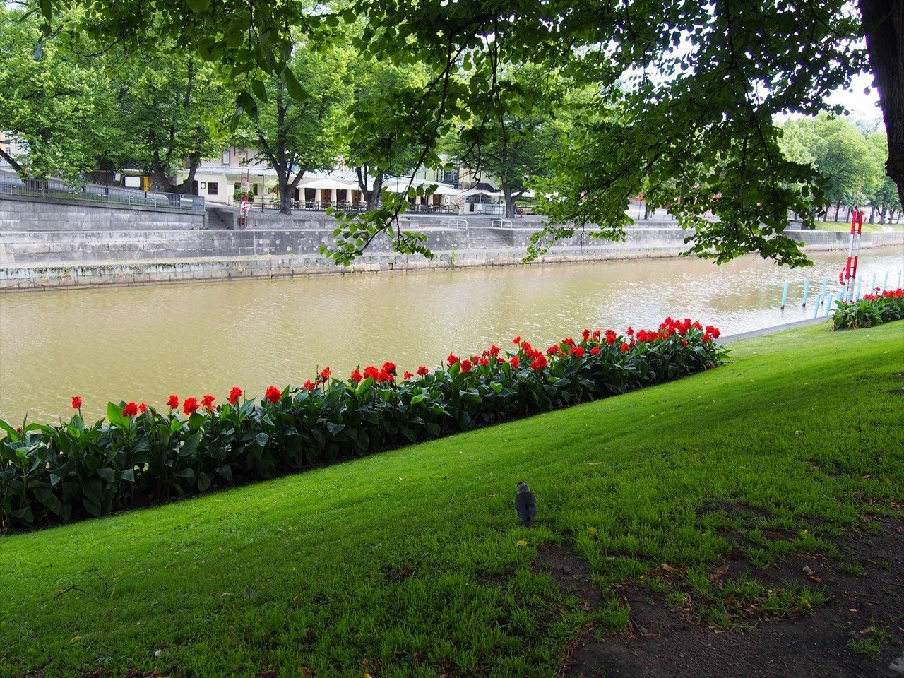 フィンランドからスウェーデンへ 白夜のバイキングライン すぴー Note