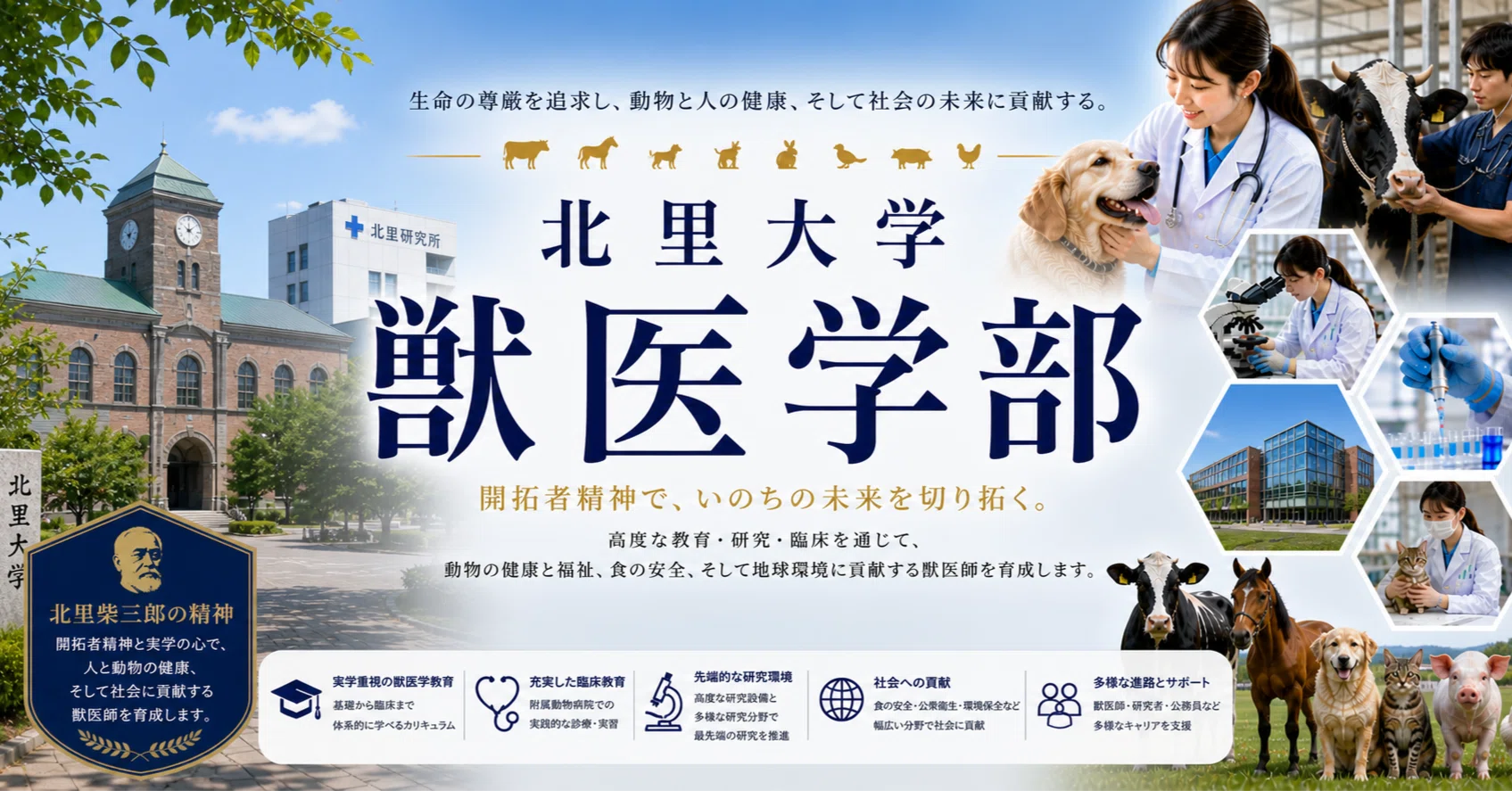 北里大学 獣医学部 徹底ガイド 偏差値 学費 進級 留年 中退 退学 放校
