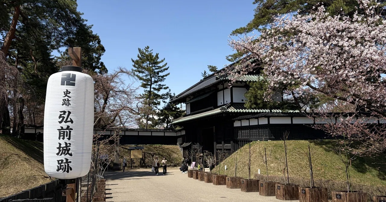 りんねさん専用富山医　編入(過去問)7年分、弘前6年分 りんねさん専用富山医 編入(過去問)7年分、弘前6年分 【公式通販】