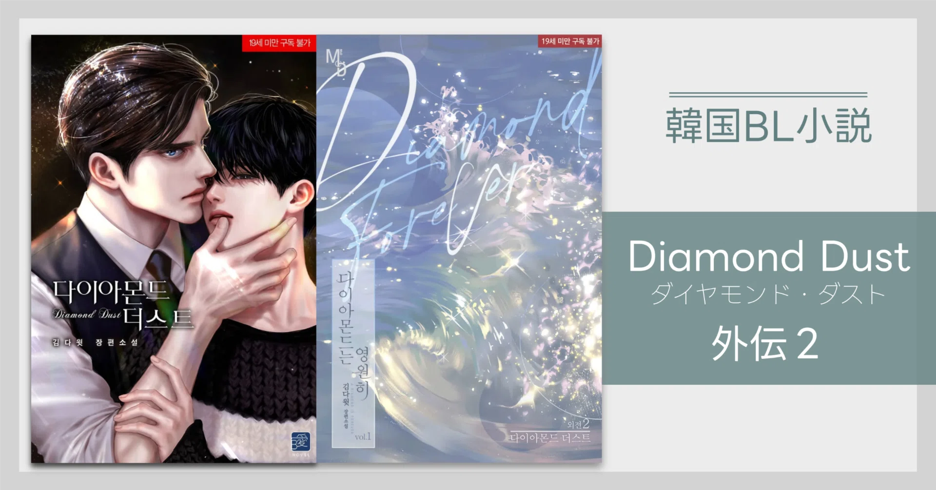 韓国BL小説】＜Diamond Dust：ダイヤモンド・ダスト外伝2＞KIM DAVID｜😎