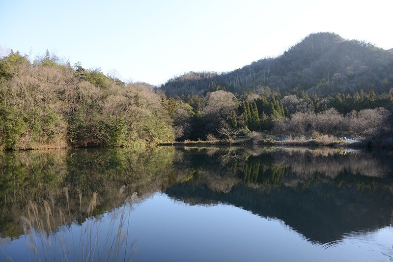 鳥取南部町赤猪岩神社古道横の池