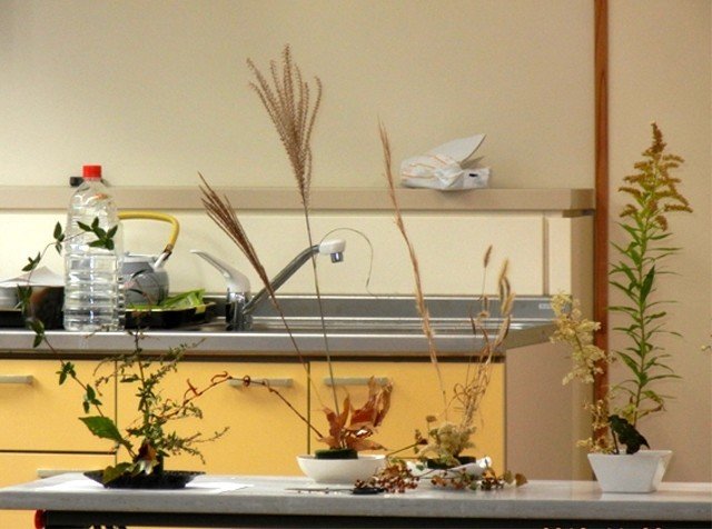 道ばたの雑草で生け花しませんか おおにわなつお Note