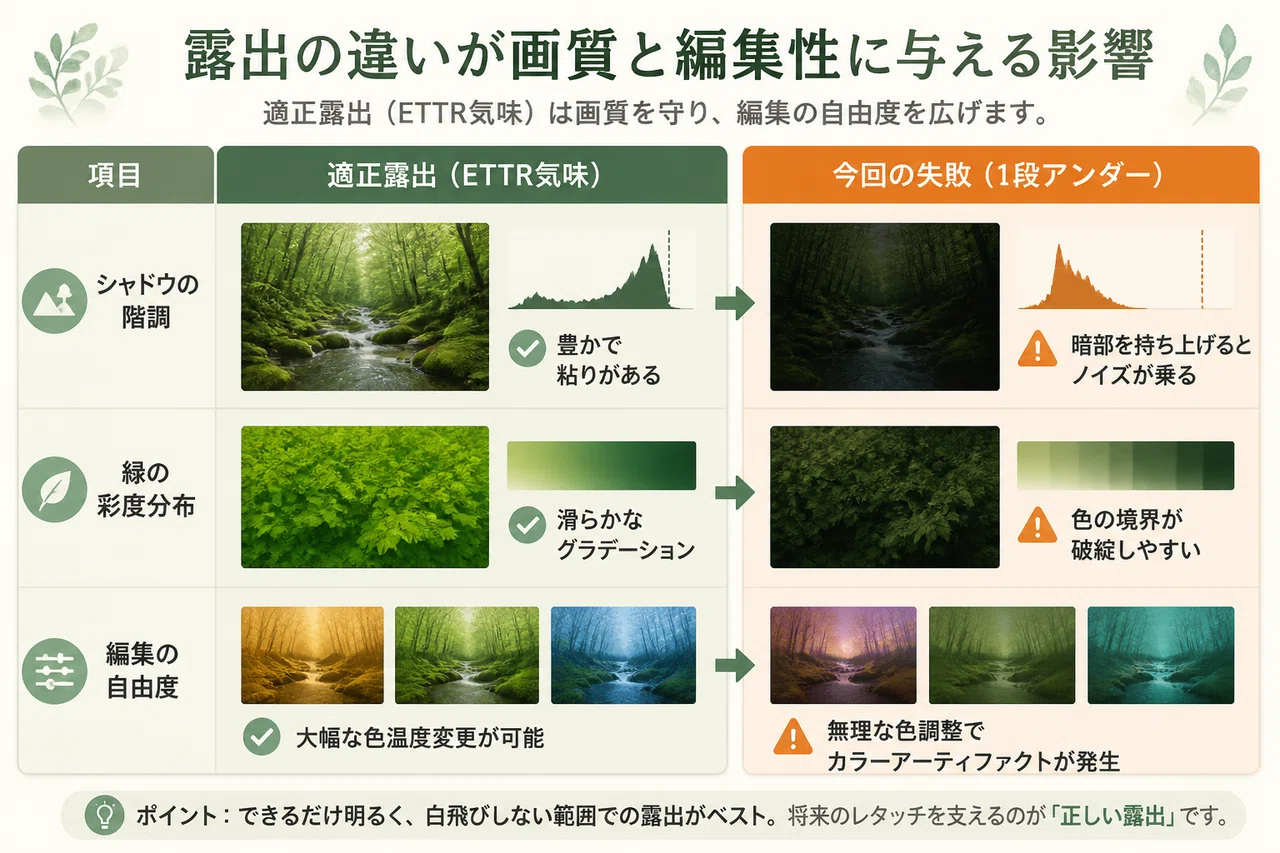 フィルム調を卒業。海外で流行る「Deep Green」の作り方｜Taku Okabe
