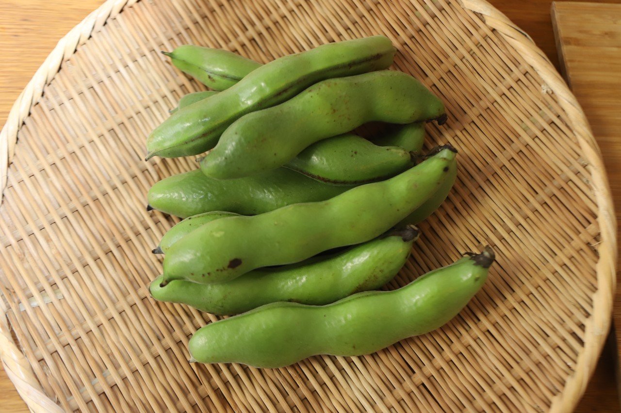 そら豆と生ハムのオリーブオイル炒め 樋口直哉 Travelingfoodlab Note そら豆と生ハムのオリーブオイル炒め 樋口直哉 Travelingfoodlab Note