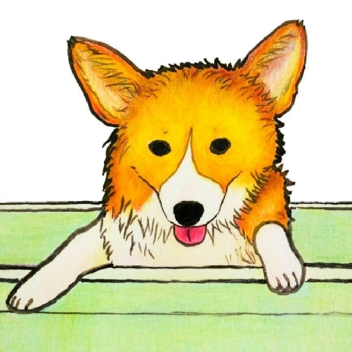コーギーイラスト お風呂 Ao Note