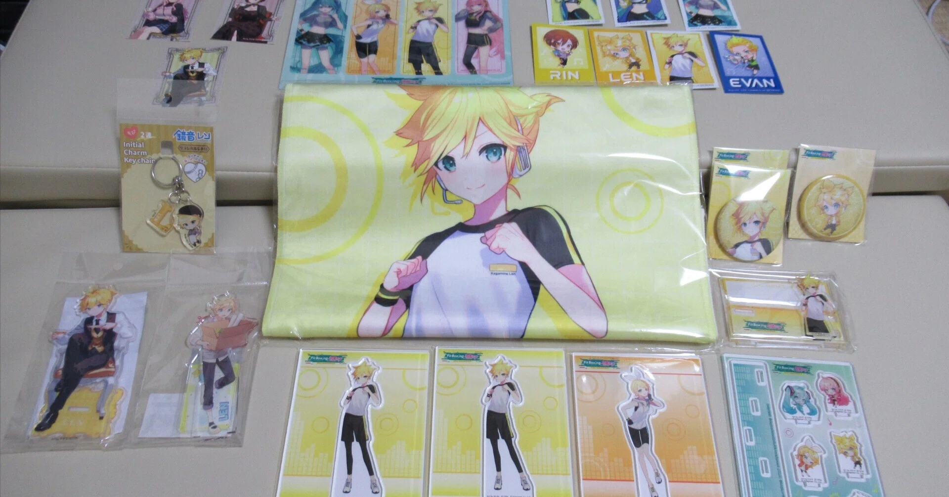 日記】Fit Boxing feat. 初音ミク のグッズが出たので買ってきた｜ごろう
