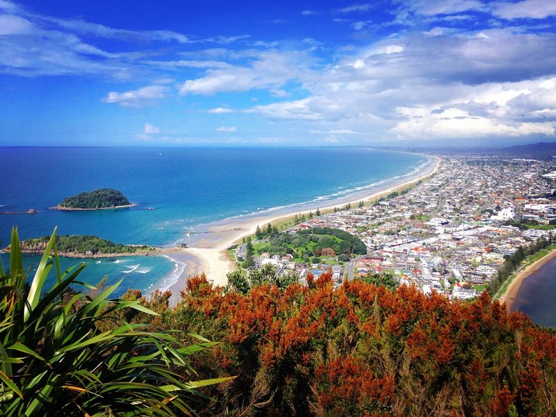 ワーホリとはワーカホリックの略だったのか 鮎 Note