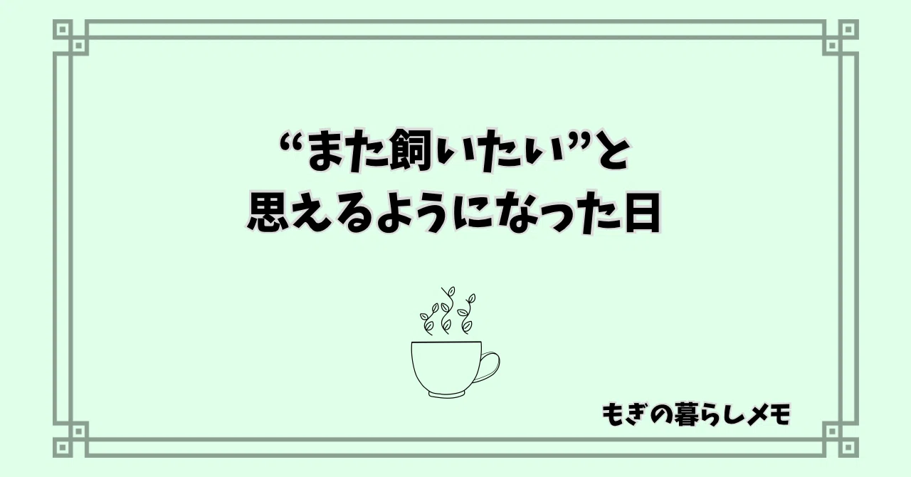 また飼いたい”と思えるようになった日｜もぎの暮らしメモ｜もぎもぎもぎー