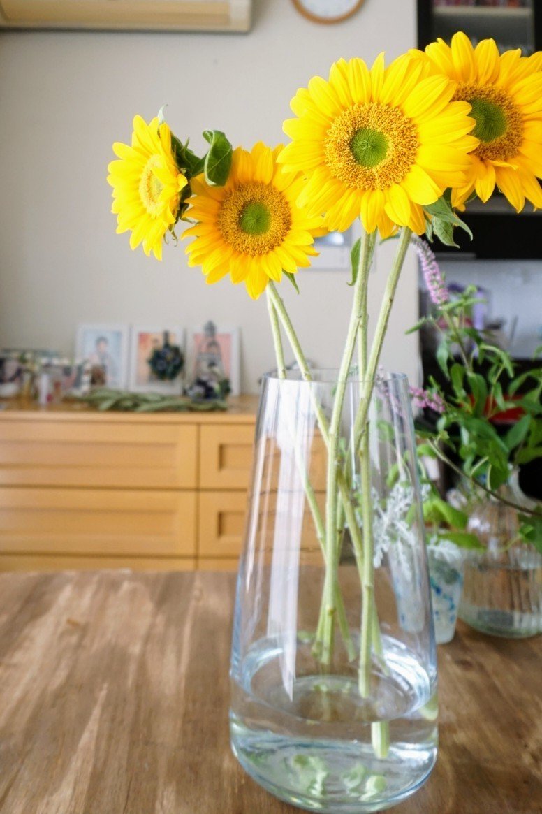 気楽に花を飾ってみよう 花瓶編 ちゃっぴい Note