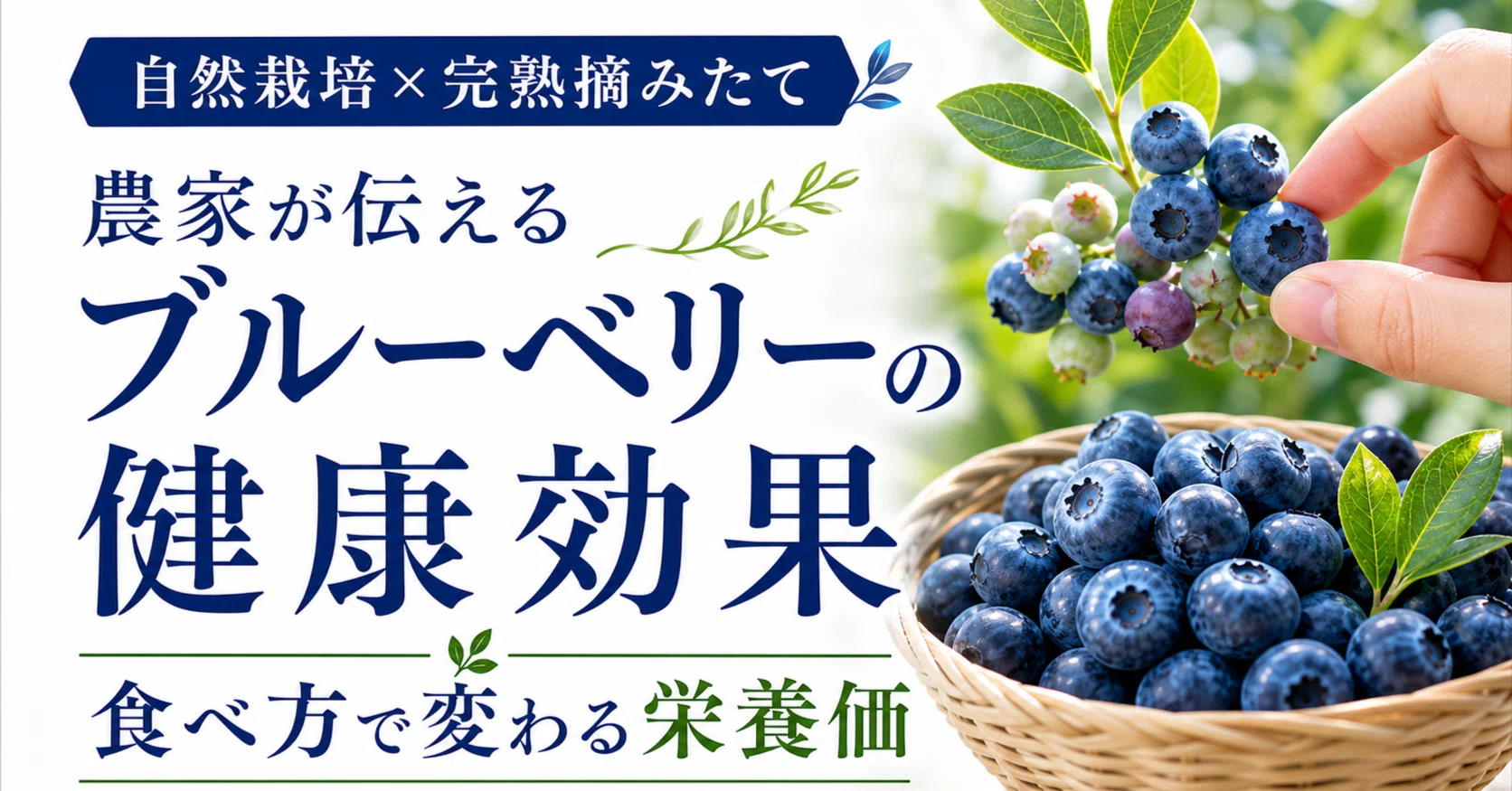 自然栽培×完熟摘みたて。農家が伝えるブルーベリーの健康効果と、食べ