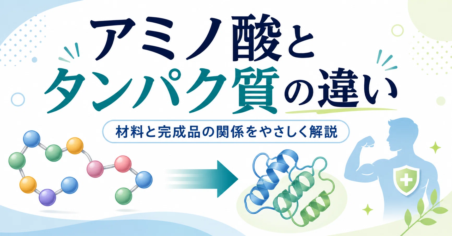 タンパク質 アミノ酸 違い