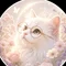 はなねこ